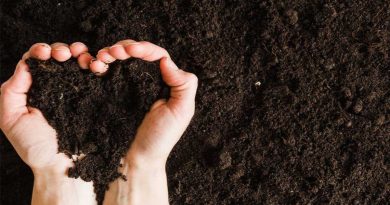 soil information in marathi