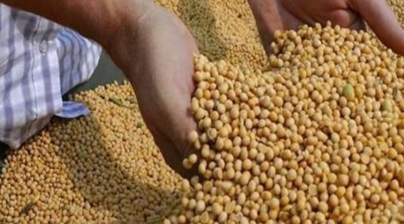 SOYBEAN PRICE INCREASED
