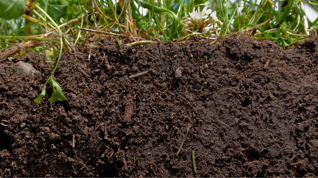 soil curb