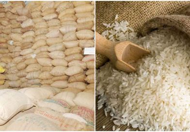 तांदूळ निर्यात: बंदी दरम्यान पांढरा तांदूळ निर्यातीबाबत केंद्राचा मोठा निर्णय, 14 हजार टन बिगर बासमती निर्यातीला मंजुरी