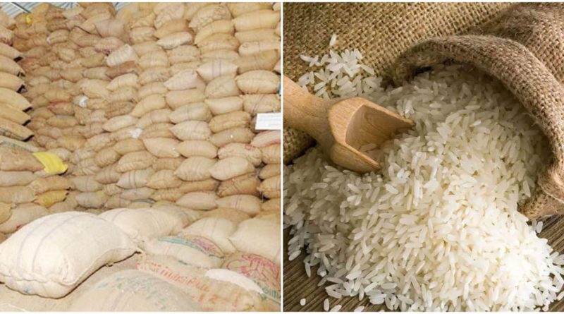 तांदूळ निर्यात: बंदी दरम्यान पांढरा तांदूळ निर्यातीबाबत केंद्राचा मोठा निर्णय, 14 हजार टन बिगर बासमती निर्यातीला मंजुरी
