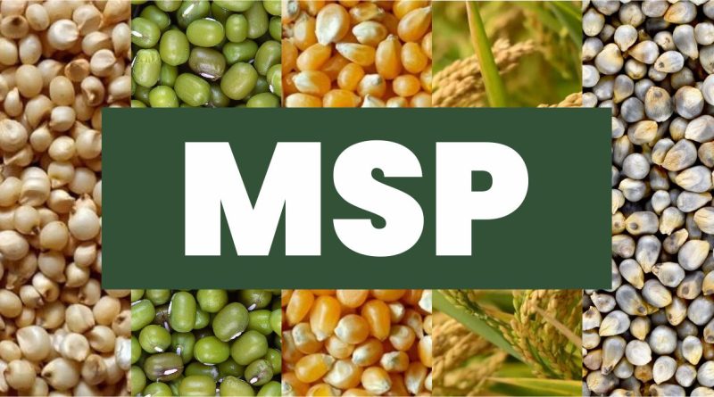 MSP: शेतकरी C-2 खर्चाच्या आधारे MSP ची मागणी का करत आहेत, किती फायदा होईल?
